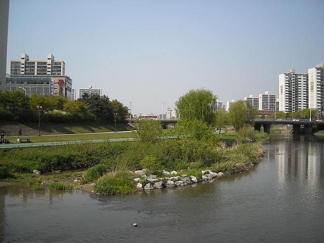 DSCN0492