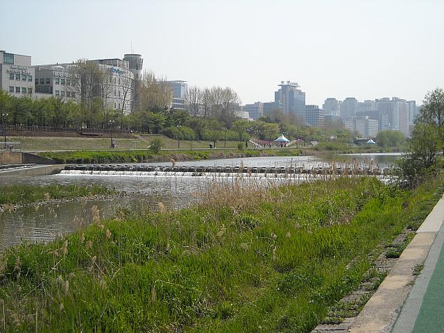 DSCN0493