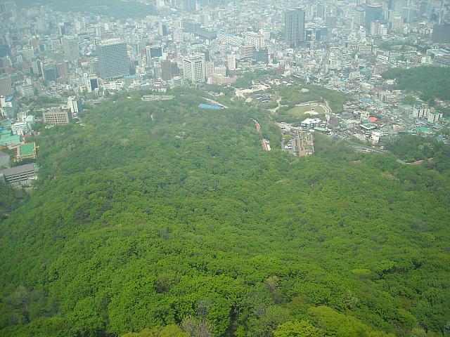 DSCN0575