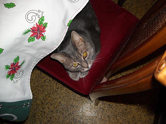 DSCN0798