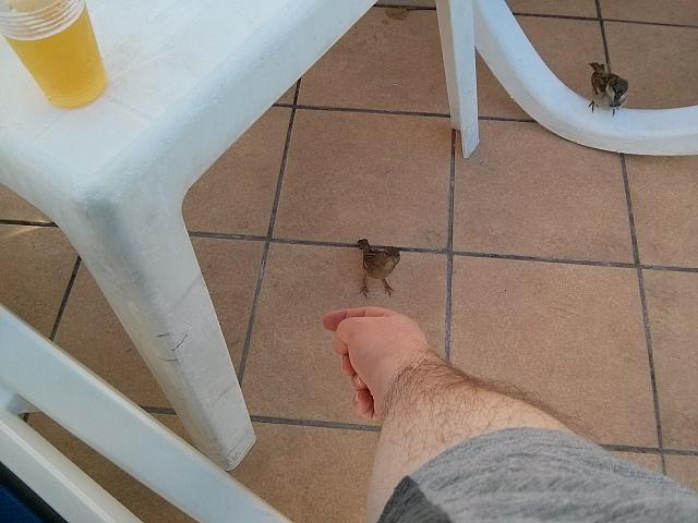 IMG 20141203 154727