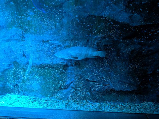 IMG 20190810 204220