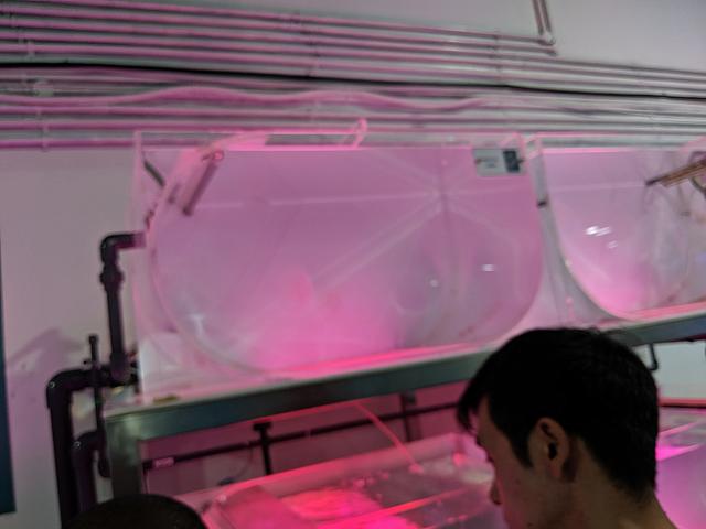 IMG 20190810 205539