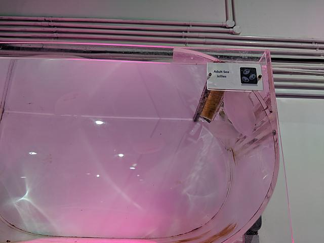 IMG 20190810 205710