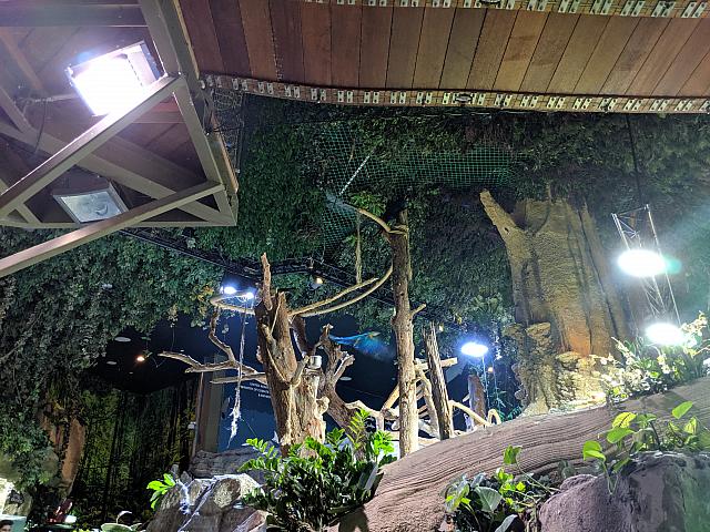 IMG 20190810 211500