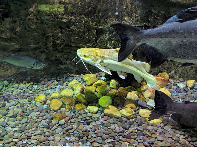 IMG 20190810 211514