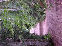 DSC00209