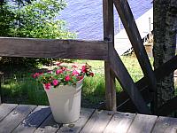cottage summer 2011