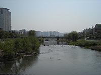 DSCN0490