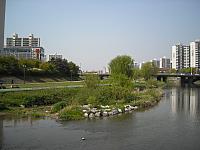 DSCN0492