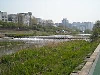 DSCN0493