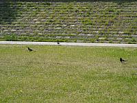 DSCN0494