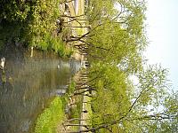 DSCN0498