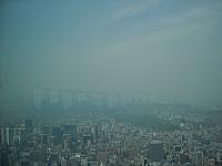 DSCN0548