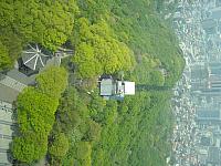 DSCN0552
