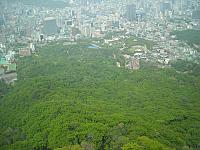 DSCN0575