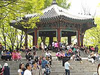 DSCN0618
