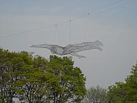 DSCN0620