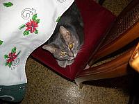 DSCN0798