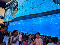 IMG 20190810 202532