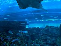 IMG 20190810 203856