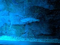 IMG 20190810 204220