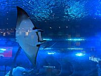 IMG 20190810 204810