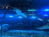 IMG 20190810 204812
