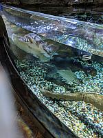 IMG 20190810 211415
