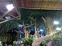 IMG 20190810 211500