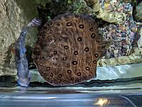 IMG 20190810 211657