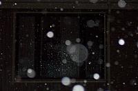 100 0364