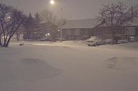 Weather